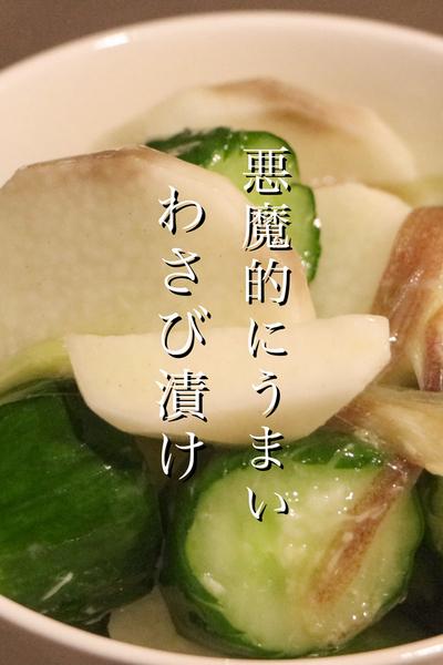 夏はこれ一択‼︎きゅうりのわさび漬けの作り方