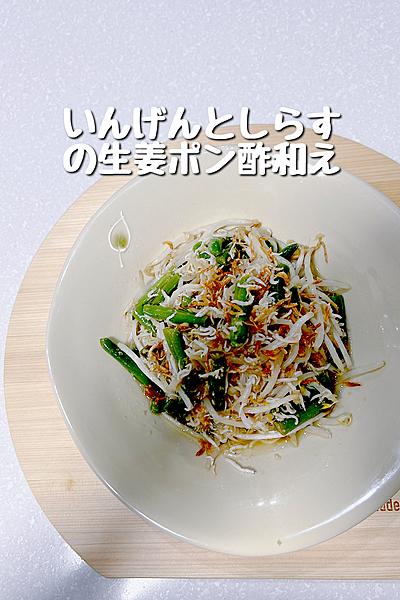 レンチンで簡単！いんげんとしらすの生姜ポン酢和え