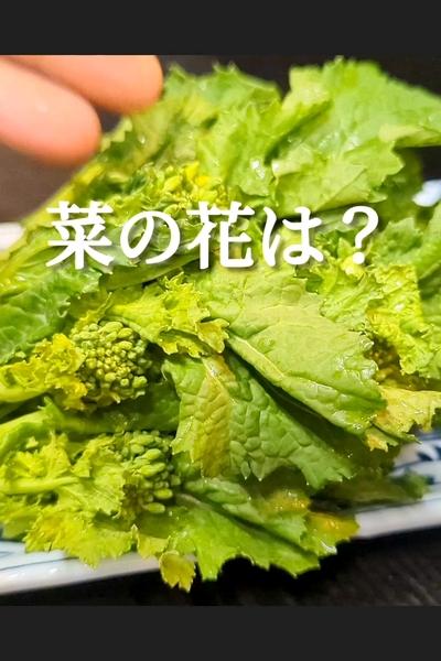茹でるな！無限菜の花レシピ