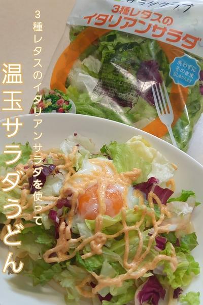 温玉サラダうどん