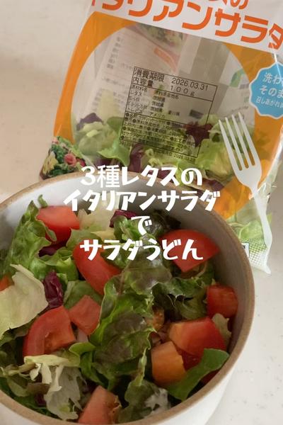 3種レタスのイタリアンサラダでサラダうどん