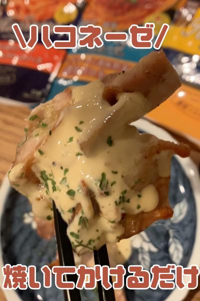 焼いてかけるだけ！豪華飯