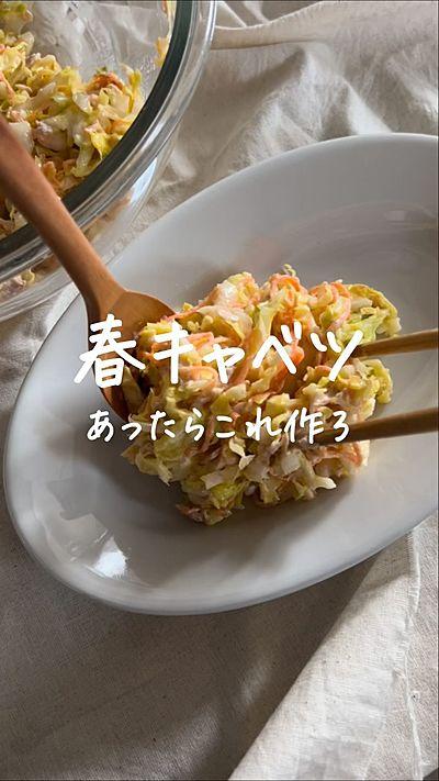 さわやかすぎるコールスロー