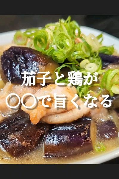 茄子と鶏もも肉のみぞれ煮込み