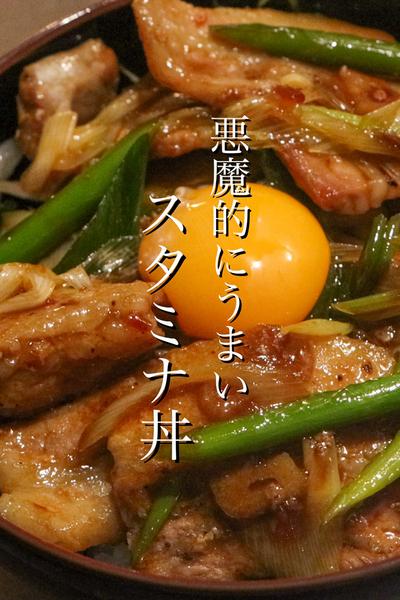 飯テロ注意‼︎スタミナ丼の作り方