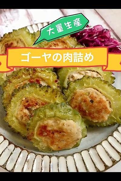 大量生産！ゴーヤの肉詰め