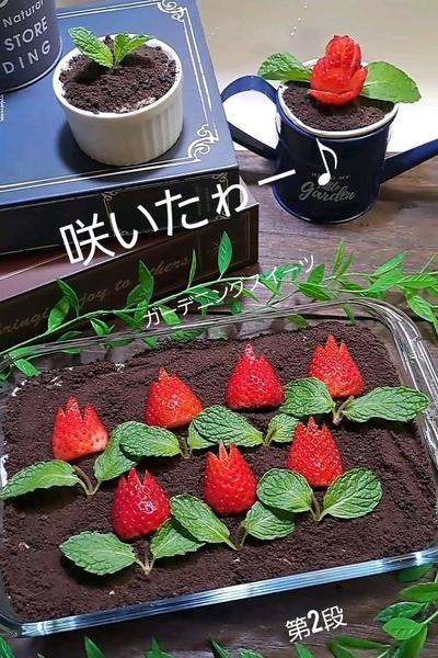スコップcheesecake♪