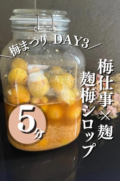 【しのばせ麹ママ流・発酵梅シロップ】