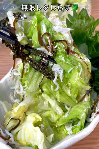 一生箸が止まらない🤤無限レタしらす🥬