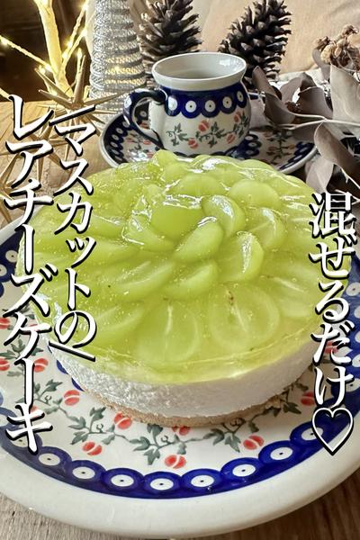 \混ぜて冷やすだけ/簡単✨【レアチーズケーキ】