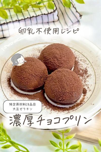 【卵乳小麦不使用】濃厚チョコプリン🍮