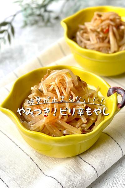 味見が止まらない！やみつき♡ピリ辛もやし
