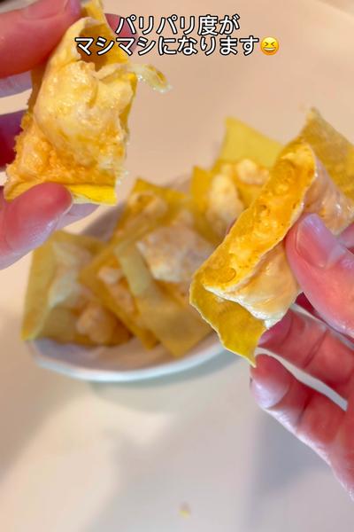 豆腐皮を使った簡単レシピ3品