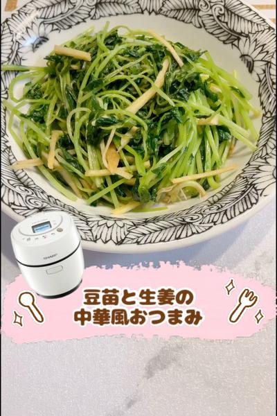 豆苗と生姜の中華風おつまみ