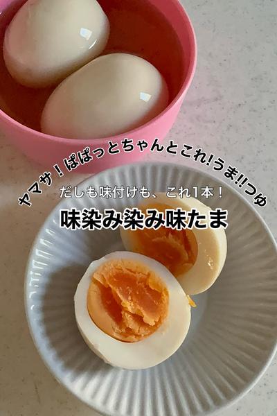 だしも味付けも、これ1本！簡単味たま