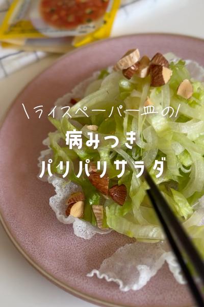病みつき！パリパリサラダ🥗