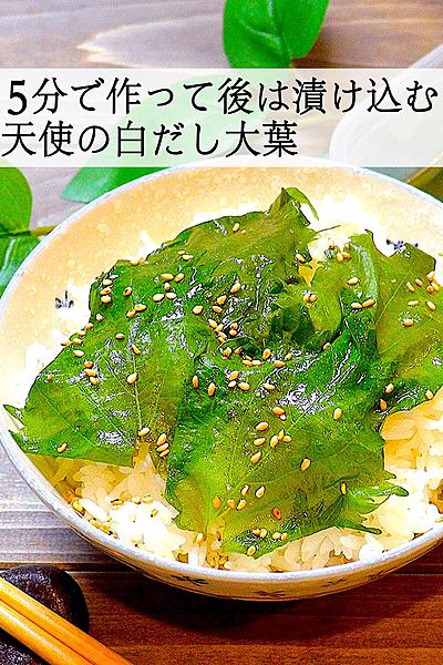 【大人気シリーズ】天使の白だし大葉