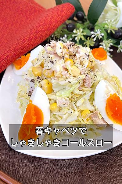春キャベツでしゃきしゃきコールスロー