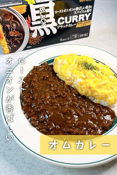 スパイシーなブラックカレールー使用！オムカレー