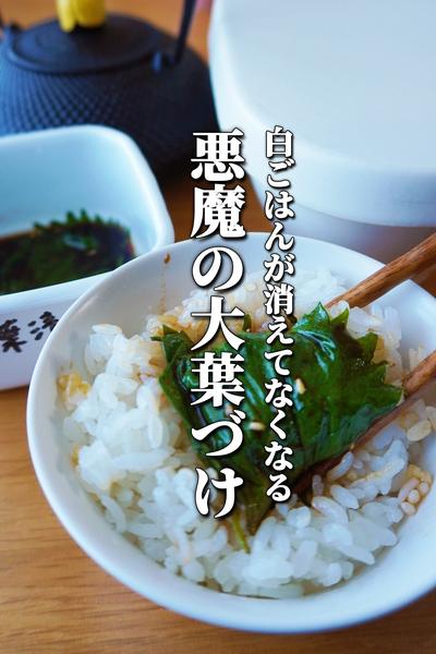 知らないと損する。しなしな大葉が絶品ご飯のお供に