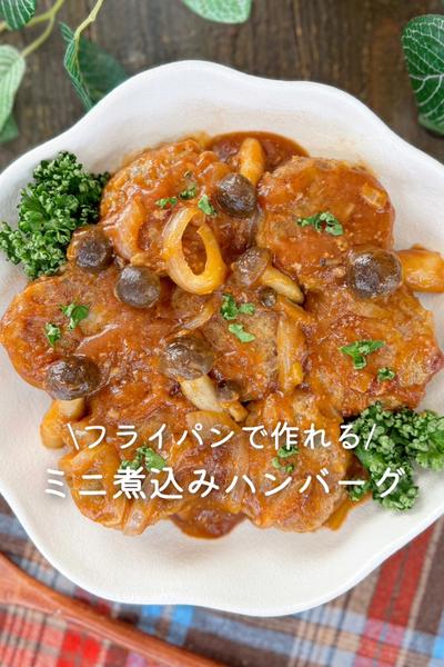 ミニ煮込みハンバーグ