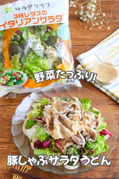 野菜たっぷり！豚しゃぶサラダうどん