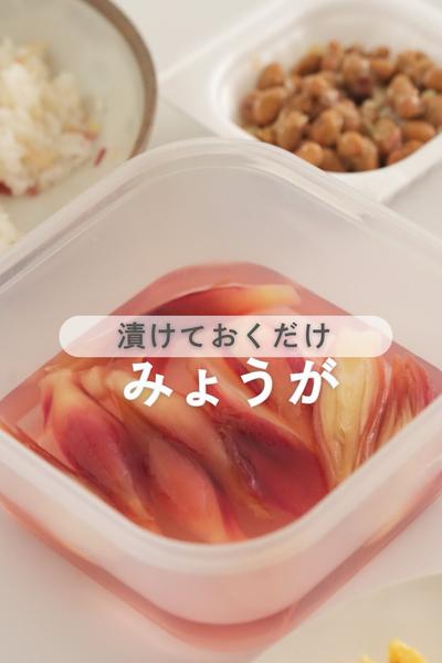 この夏常備したい！みょうがの甘酢漬け