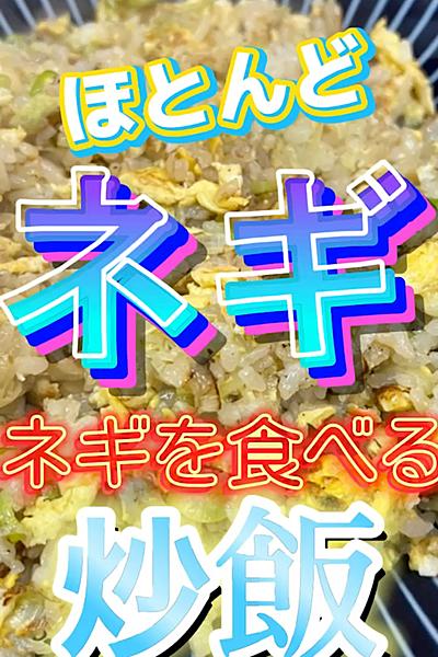 【ほとんどネギ!?】ネギを食べる炒飯