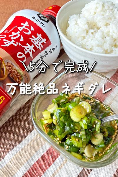 \5分で完成/万能絶品ネギダレ