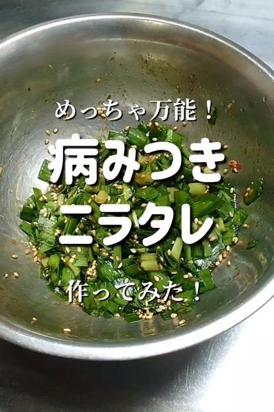 【魔法の万能たれ！】