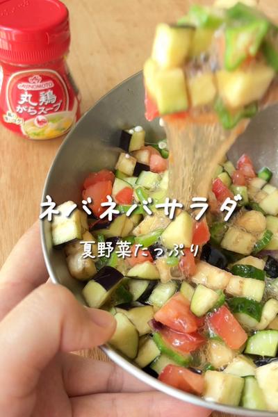 夏野菜たっぷりネバネバサラダ