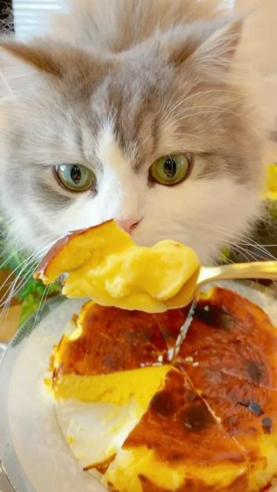 クレバーチーズケーキ/DUMBO﻿