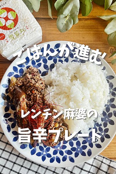 ごはんがすすむ☆レンチン麻婆の旨辛プレート