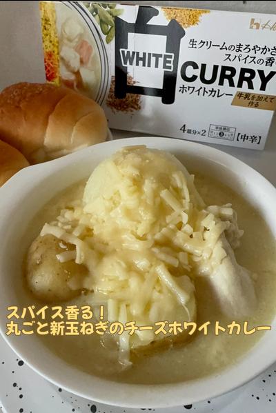丸ごと新玉ねぎのチーズホワイトカレー