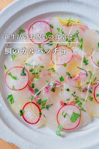 新生活のお祝いに！鯛のカルパッチョ