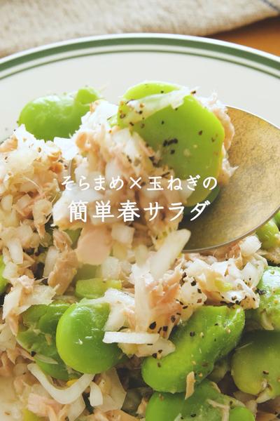 ツナ缶×旬野菜で！そらまめ×玉ねぎの簡単春サラダ