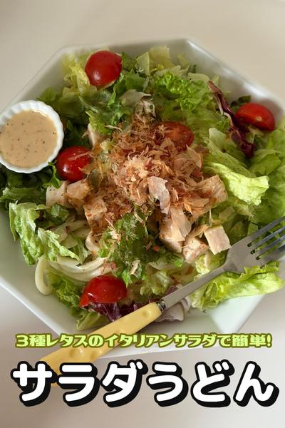 野菜たっぷり！サラダうどん