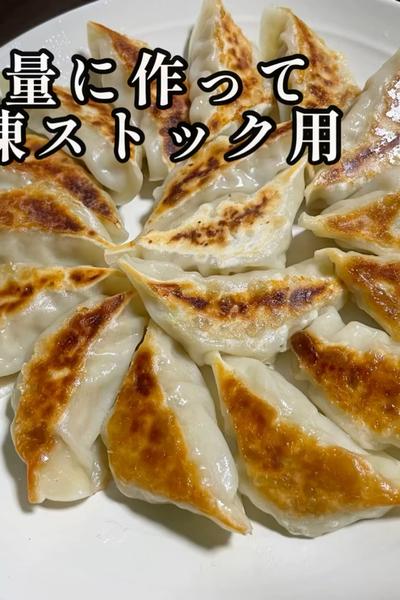 野菜多めで作り置き餃子🥟