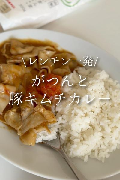 レンチン一発！がつんと豚キムチカレー