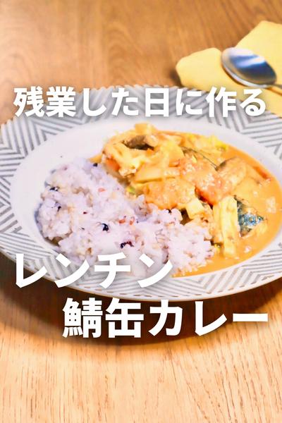 忙しい日に作りたい！レンチンサバ缶カレー