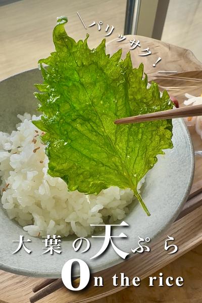 ＼パリッサク！／大葉の天ぷらon the rice