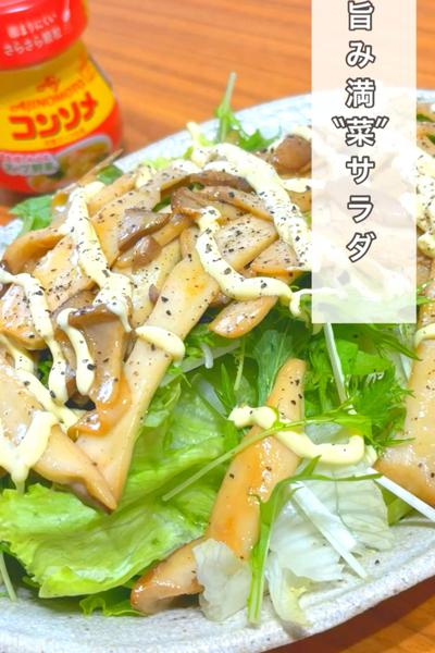 旨み満菜サラダ