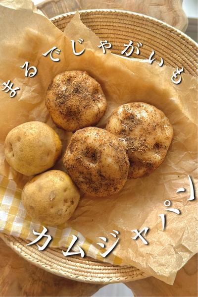 ＼むっちりほくほく／まるでじゃがいもカムジャパン