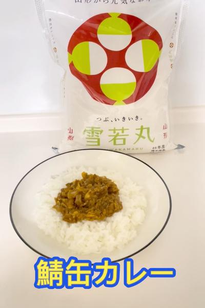 簡単！鯖缶カレー