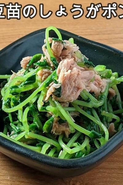 ツナと豆苗のしょうがポン酢和え