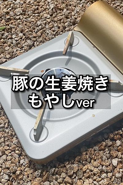 豚の生姜焼きもやしversion！