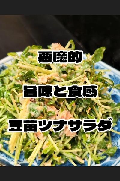 豆苗とシーチキンの味噌マヨマスタードサラダの作り方