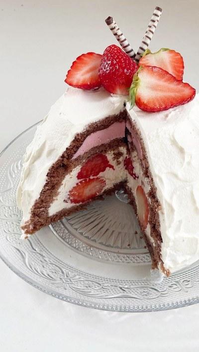 ずっと作ってみたかったドームケーキ✨✌🏻