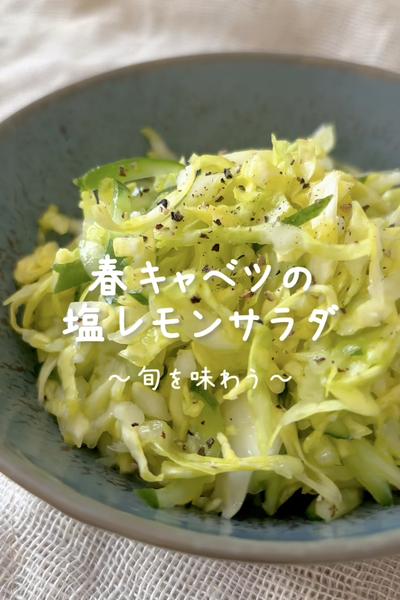 \旬を味わう♡/
【春キャベツの塩レモンサラダ】