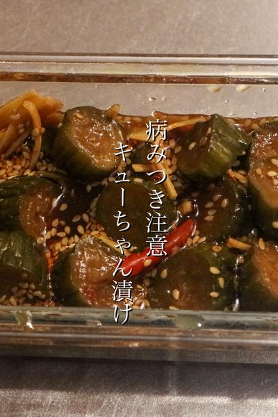 本家もびっくり⁈きゅうりのキューちゃんの作り方